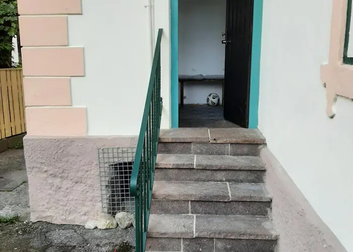 Mountain View ホームステイ *